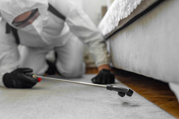 Professional Ant Control technician working in Newport County County, RI